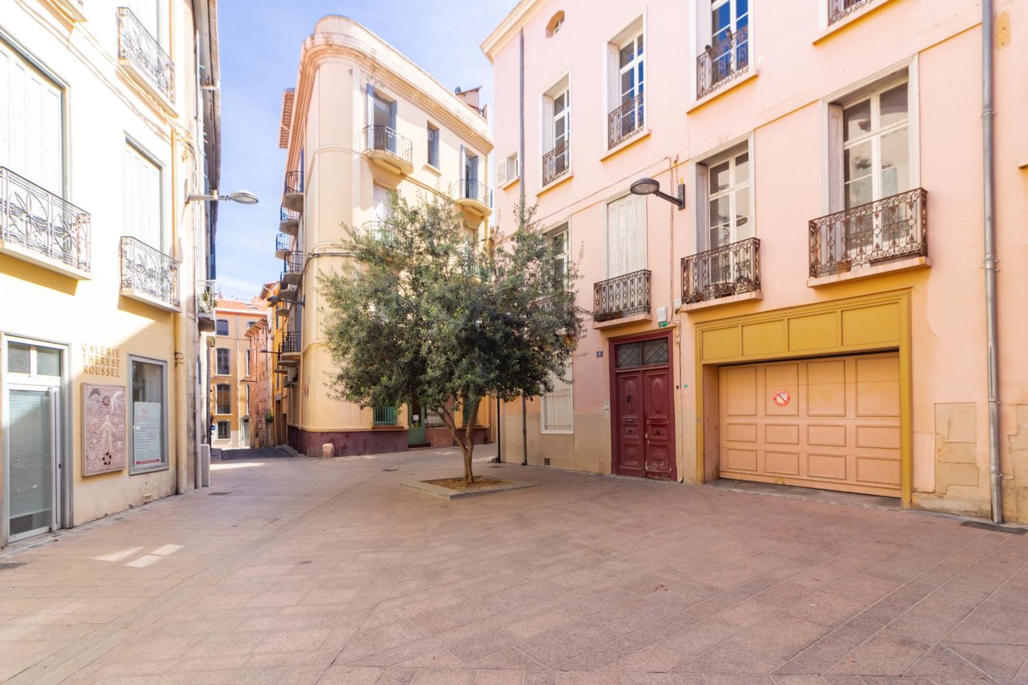 Appartement Moderne Et Elegant Michel Torrent แปร์ปินญอง ภายนอก รูปภาพ